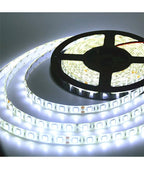 Charkee White Steady Strip Rice Lights (Pack of 1)