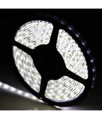 Charkee White Steady Strip Rice Lights (Pack of 1)