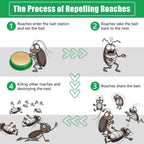 Roach Repellent – Keep Your Home Pest‑Free  (Pack of 2)
